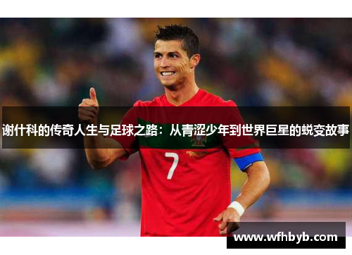 谢什科的传奇人生与足球之路：从青涩少年到世界巨星的蜕变故事