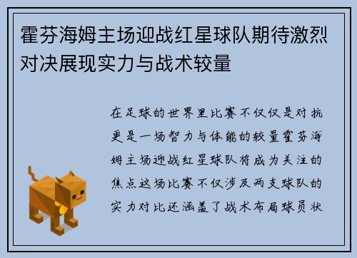 霍芬海姆主场迎战红星球队期待激烈对决展现实力与战术较量